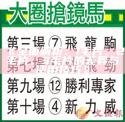 《完整解析：1毛片、2毛片、3毛片的差异与使用技巧》