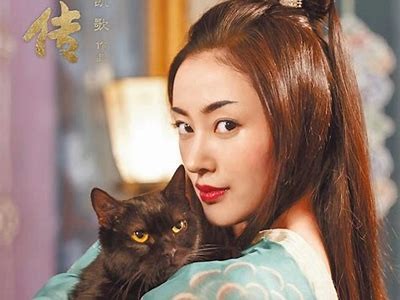 《猫妖传》全剧免费观看：畅享奇幻冒险的精彩故事！