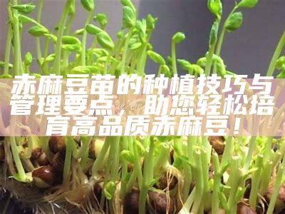 赤麻豆苗的种植技巧与管理要点，助您轻松培育高品质赤麻豆！