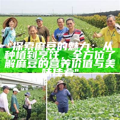 "探索麻豆的魅力：从种植到烹饪，全方位了解麻豆的营养价值与美味佳肴"